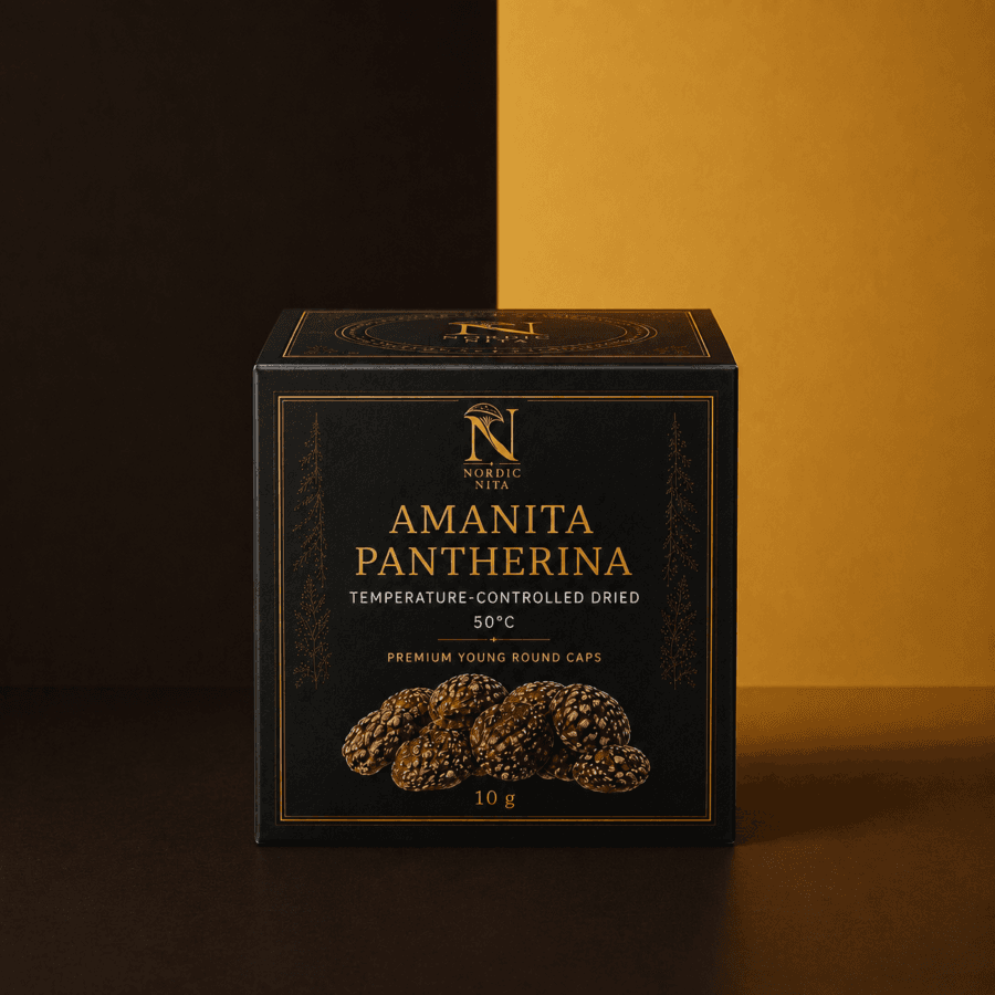 Nordic Nita Amanita pantherina (panther cap) box of dried whole young caps, temperature-controlled dried at 50 °C, 10 g